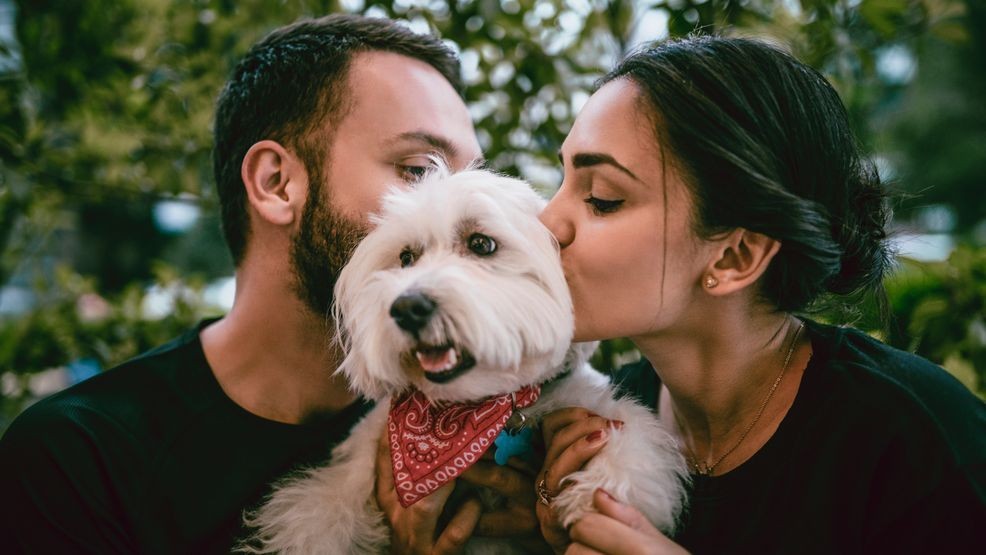 Image for story: What to consider before adopting a pet 