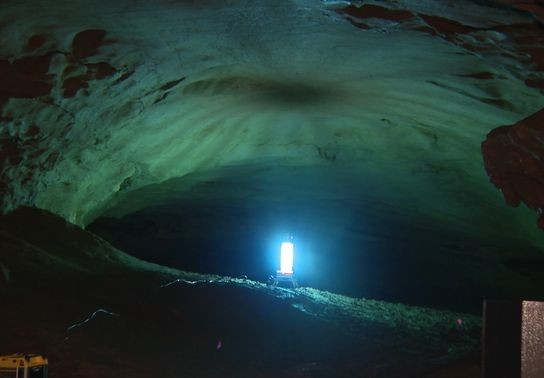 Image for story: Wild Appalachia: Combating White-Nose Syndrome