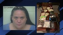 Image for story: Deputies: Woman charged after meth with street value of about $12K found in traffic stop