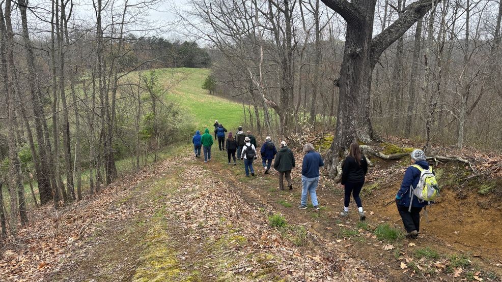 Image for story: Wild Appalachia: Hungry Beech Preserve
