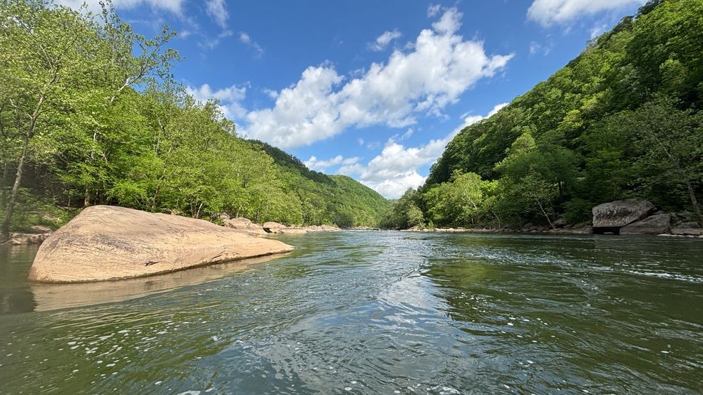 Image for story: Wild Appalachia: New River Smallmouth Bass