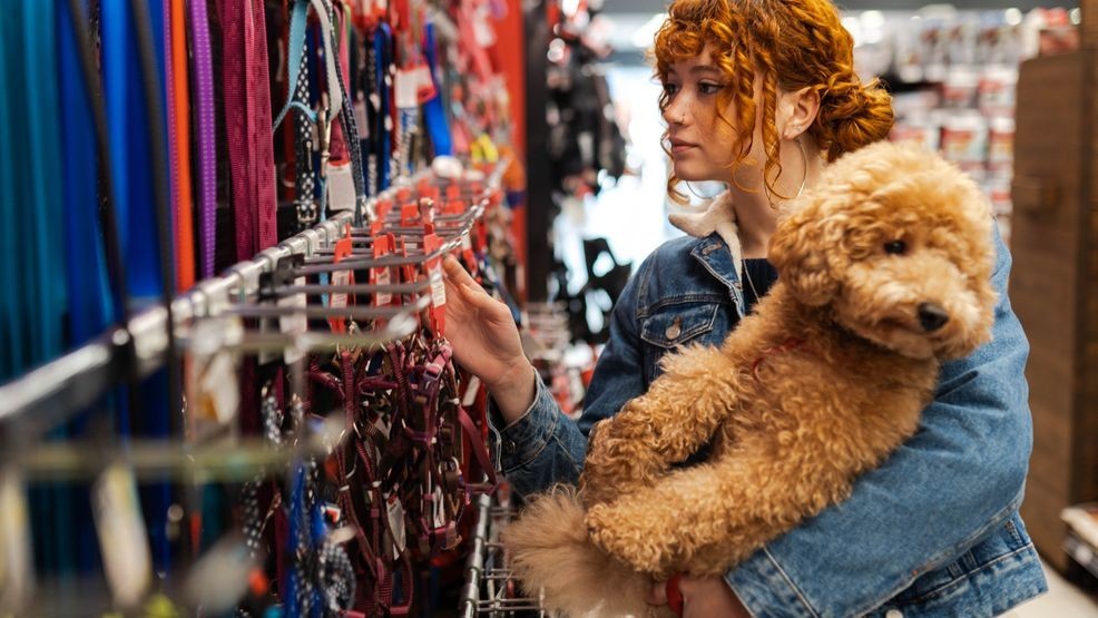 Image for story: Purr-fectly prepared: 13 essential items to welcome your new pet