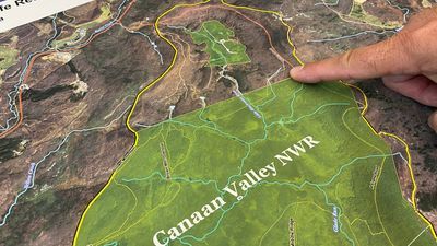 Image for story: Wild Appalachia: Canaan Valley National Wildlife Refuge Expansion