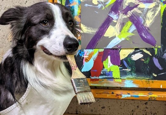 Image for story: A slam dunk for Leonard Lee, the pooch who paints and so much more