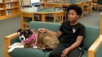 Image for story: Therapy dogs a daily part of class for these students