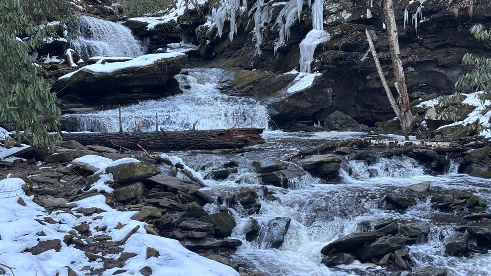Image for story: Wild Appalachia: Piney Creek Preserve 