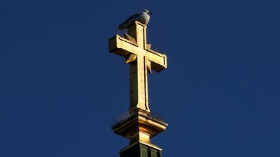 Image for story: Catholic bishops express deep concern over immigration and call for compassionate reform