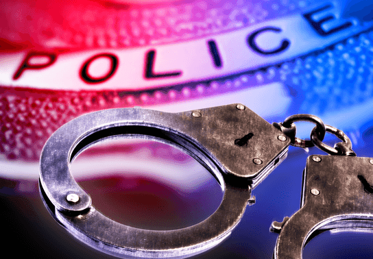 Image for story: Man accused of repeatedly abusing dog at South Charleston home