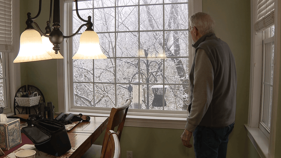 Image for story: Wild Appalachia: Bird Feeders 