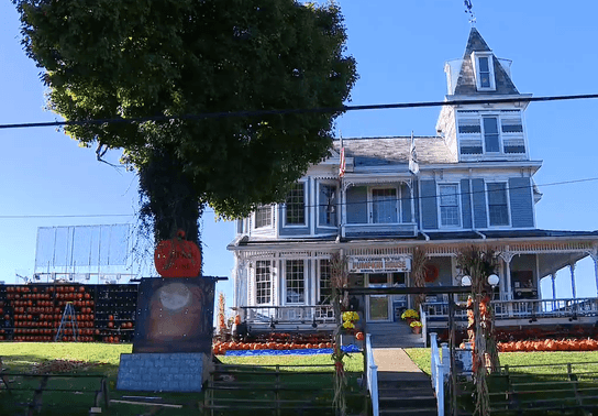 Image for story: Kenova's Pumpkin House opens ahead of Halloween weekend